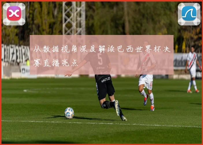从数据视角深度解读巴西世界杯决赛直播亮点
