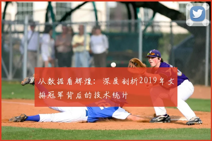 从数据看辉煌：深度剖析2019年女排冠军背后的技术统计