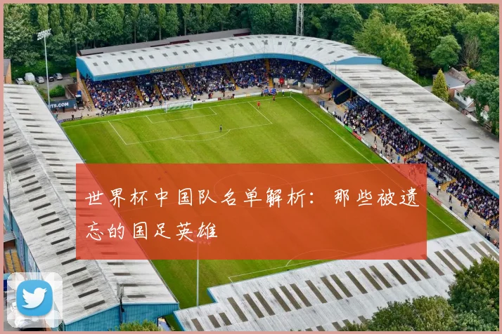 世界杯中国队名单解析：那些被遗忘的国足英雄