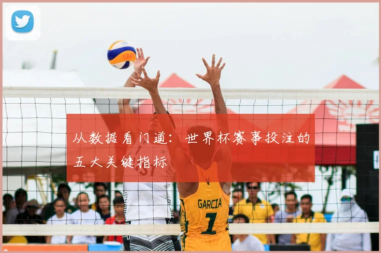 从数据看门道：世界杯赛事投注的五大关键指标