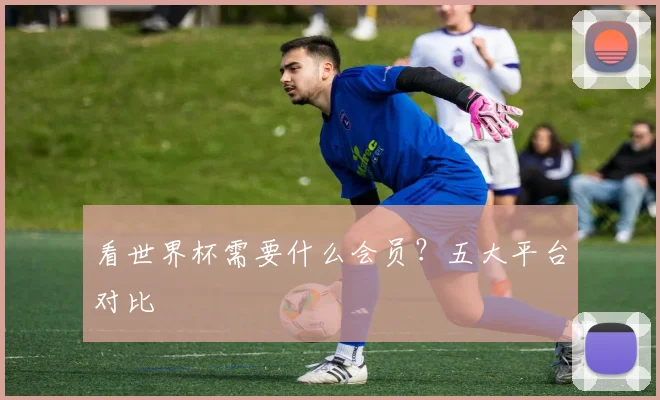 看世界杯需要什么会员?五大平台对比