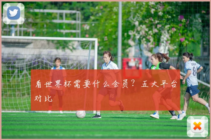 看世界杯需要什么会员?五大平台对比