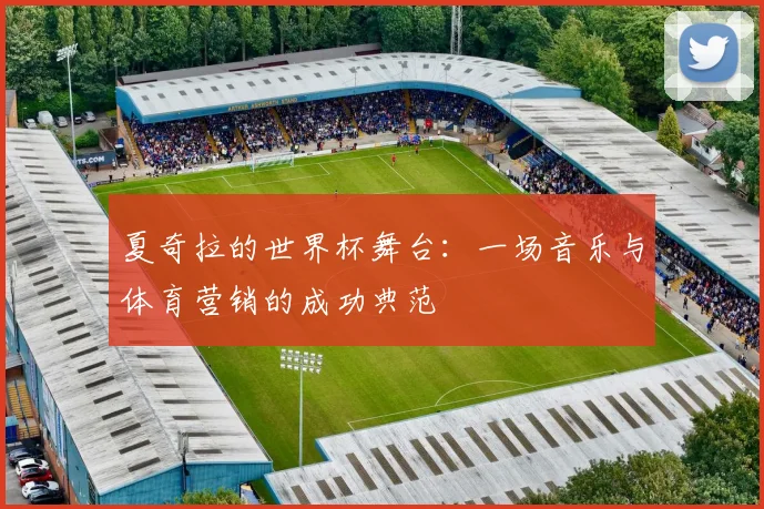 夏奇拉的世界杯舞台:一场音乐与体育营销的成功典范